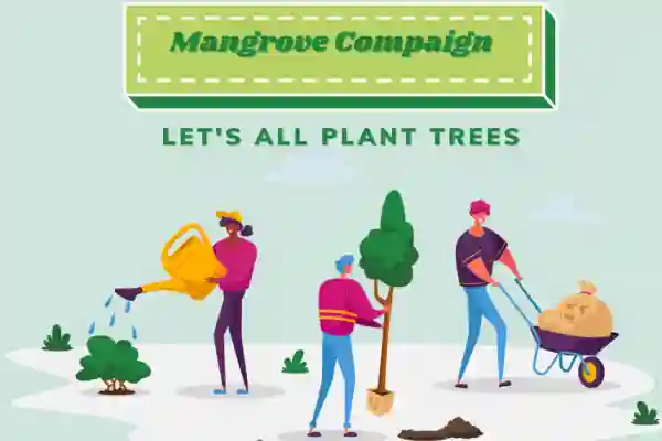 mangrove campaign